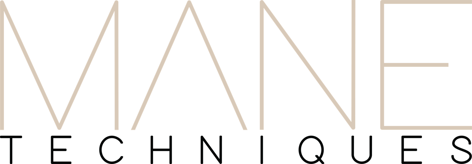 Mane Techniques, Hair Artistry and Extension Specialists